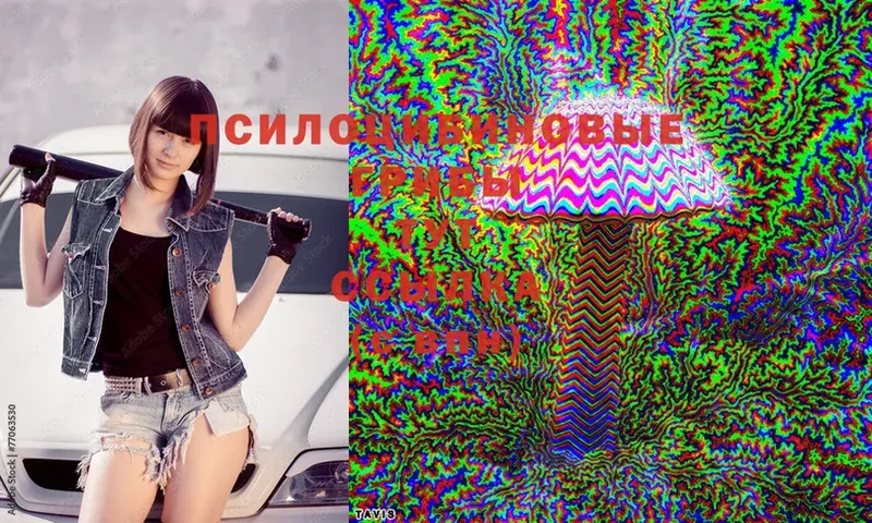 Галлюциногенные грибы Magic Shrooms  Курильск 